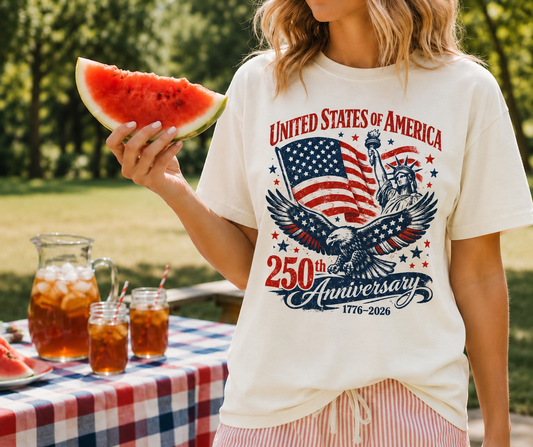 Oversized Faded 250th Anniversary