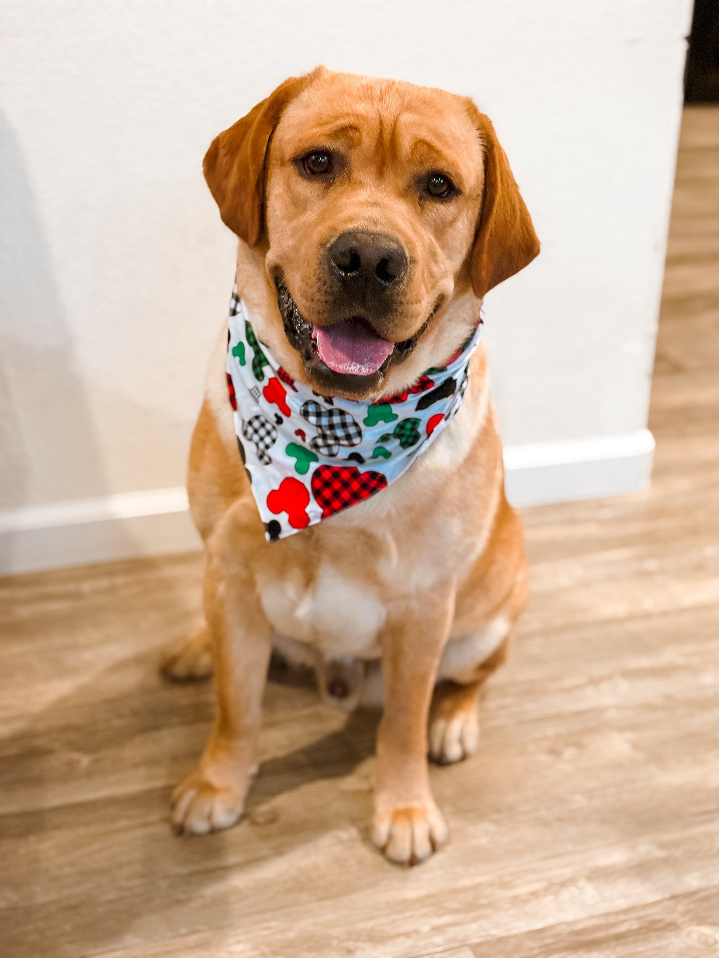 Christmas Dog Bandanna