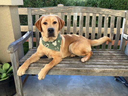 Green Dog Bandana